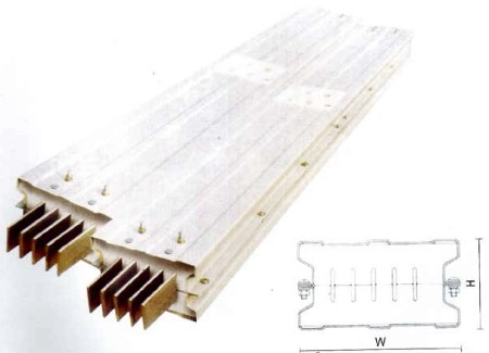 ͨ����ĸ����